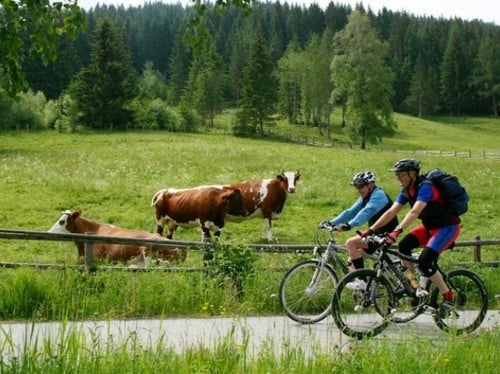 Paradies für Radfahrer